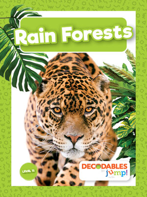 Rain Forests - ebook
